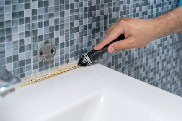 Best Mold Damage Repair  in Ripon, CA