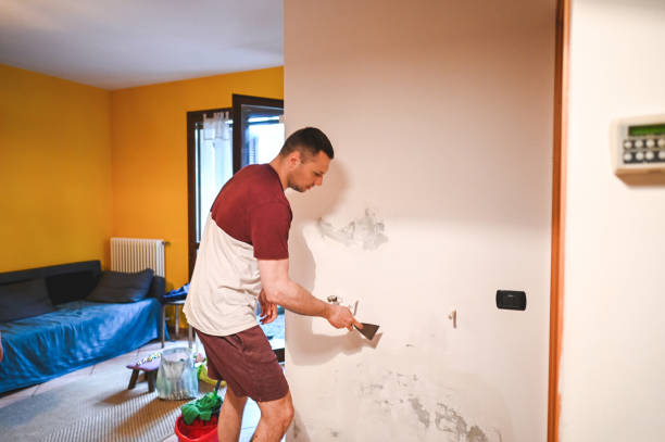 Best Commercial Mold Removal  in Ripon, CA